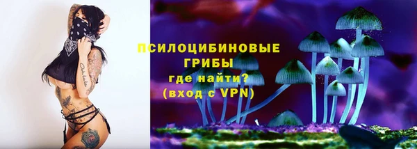 прущая мука Арсеньев