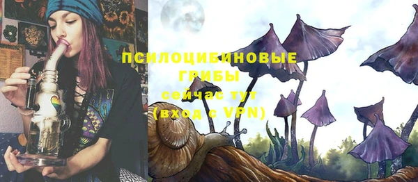 прущие крисы Аркадак